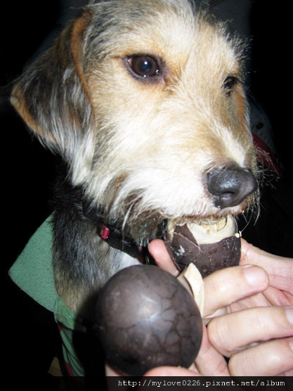 IMG_2596.jpg IMG_2596.jpg