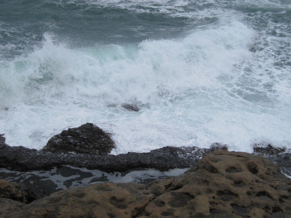 IMG_1004.jpg IMG_1004.jpg