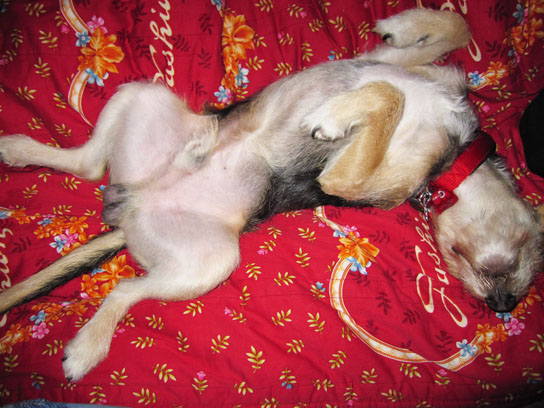 IMG_1608.jpg IMG_1608.jpg