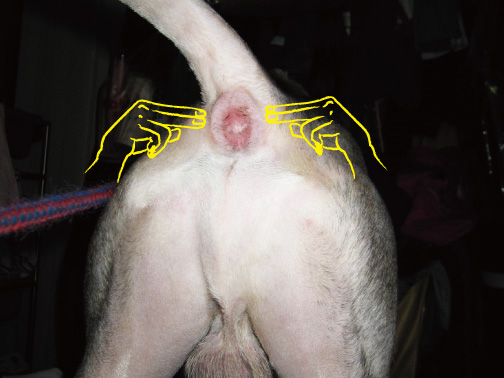 m03.jpg m03.jpg