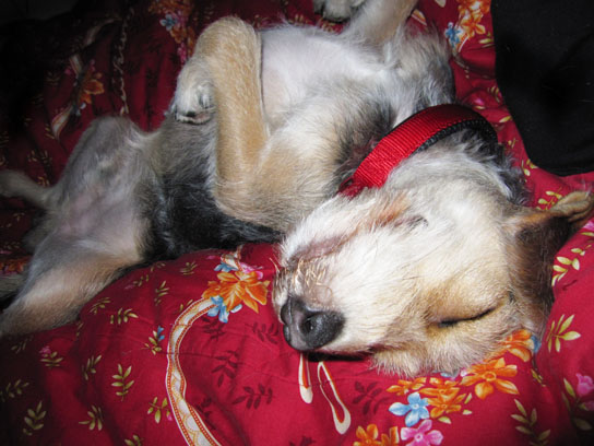 IMG_1611.jpg IMG_1611.jpg