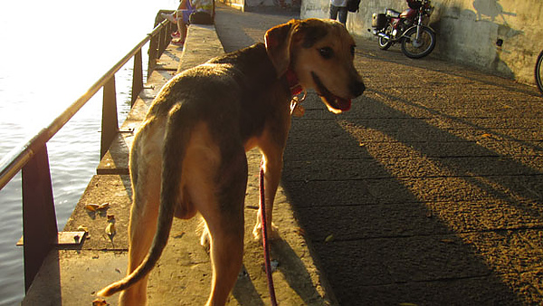 IMG_9011.jpg IMG_9011.jpg