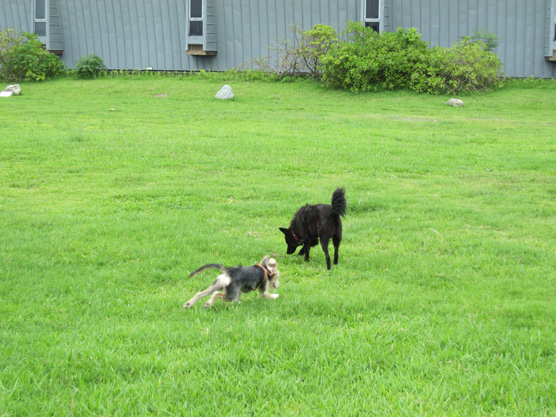IMG_1788.jpg IMG_1788.jpg