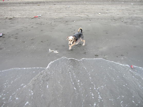 IMG_1859.jpg IMG_1859.jpg