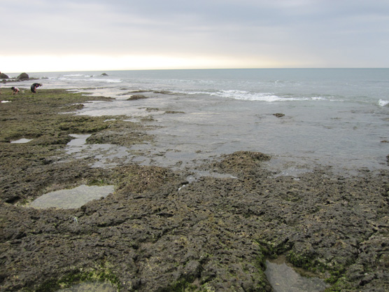 IMG_2709.jpg