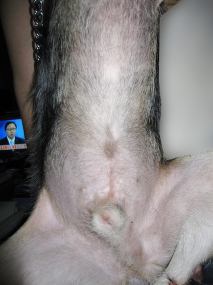 IMG_3880.jpg IMG_3880.jpg