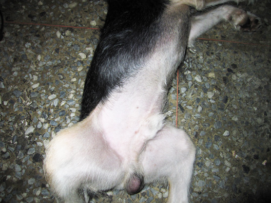 IMG_3877.jpg IMG_3877.jpg