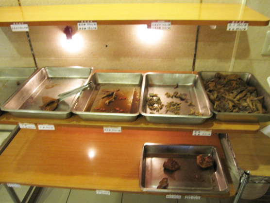 IMG_4437.jpg IMG_4437.jpg