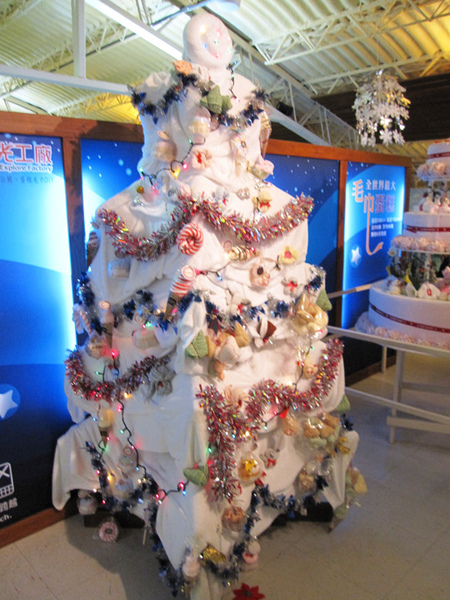 IMG_9555.jpg IMG_9555.jpg