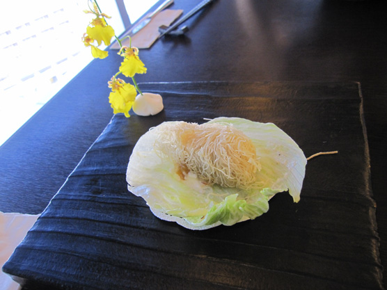 IMG_4958.jpg IMG_4958.jpg