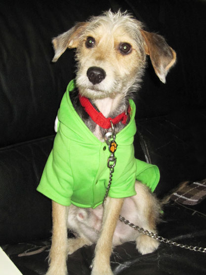 IMG_6214.jpg IMG_6214.jpg