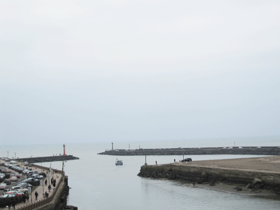 IMG_6968.gif IMG_6968.gif