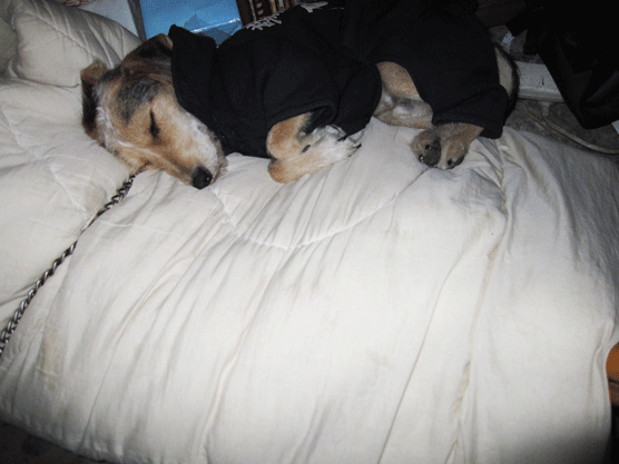 IMG_7298.gif IMG_7298.gif