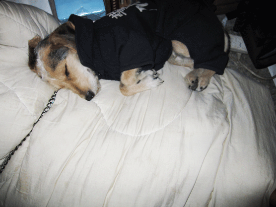 IMG_7299.gif IMG_7299.gif