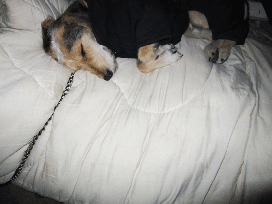 IMG_7300.gif IMG_7300.gif