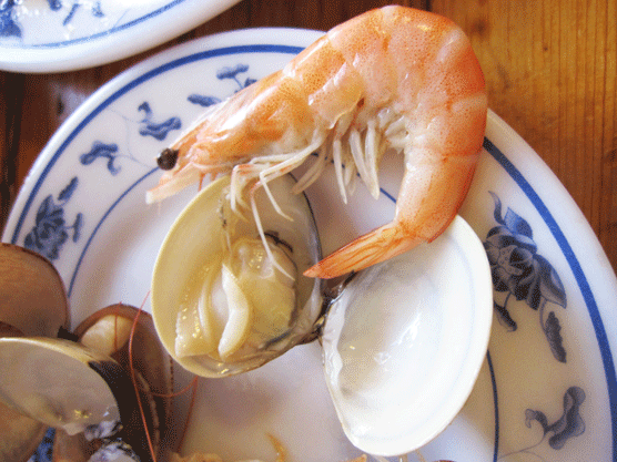 IMG_7280.gif IMG_7280.gif