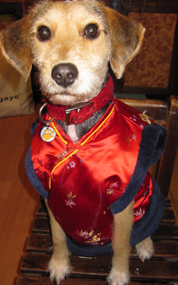 IMG_7660.png IMG_7660.png