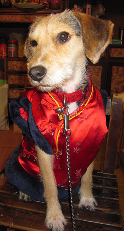 IMG_7664.png IMG_7664.png