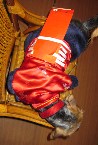IMG_7666.png IMG_7666.png