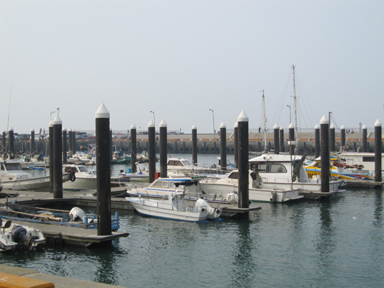 IMG_7930.jpg IMG_7930.jpg