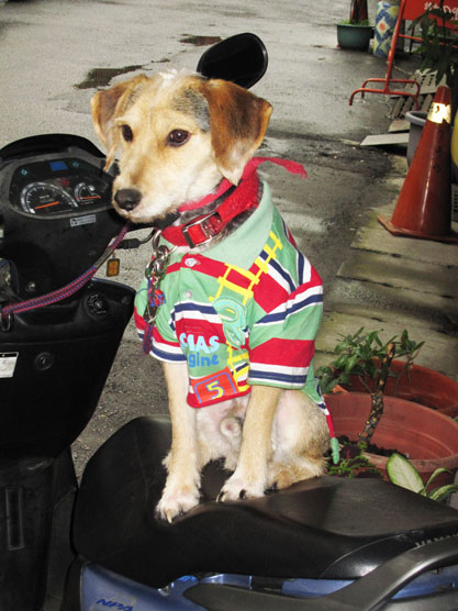 IMG_8446.jpg IMG_8446.jpg