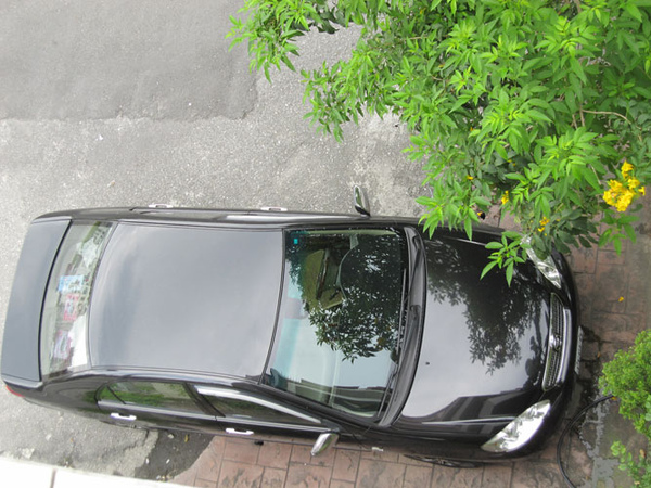 IMG_8692.jpg IMG_8692.jpg