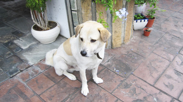 IMG_8882.jpg IMG_8882.jpg