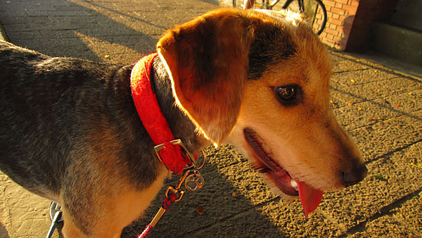 IMG_9004.jpg IMG_9004.jpg