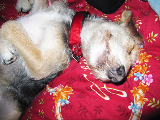 IMG_1613.jpg IMG_1613.jpg