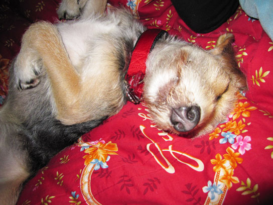 IMG_1610.jpg IMG_1610.jpg