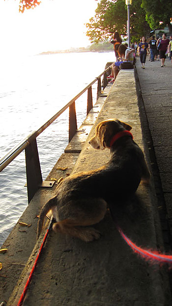 IMG_9039.jpg IMG_9039.jpg