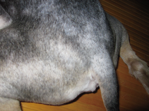 m05.jpg m05.jpg