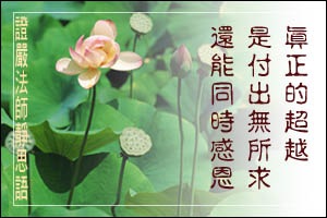 真正的超越是付出無所求,還能同時感恩。 真正的超越是付出無所求,還能同時感恩。