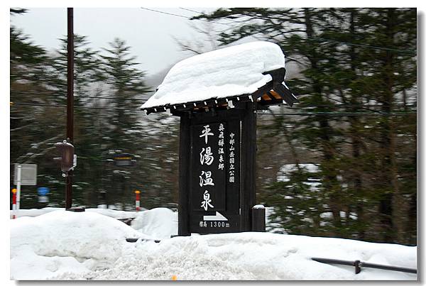 DSC_5950 DSC_5950