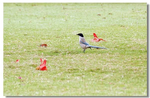 DSC_6731 DSC_6731