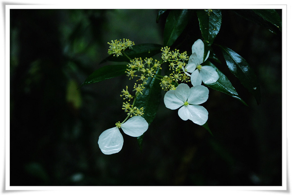 DSC_0026.jpg DSC_0026.jpg