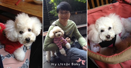 請輸入圖片標題