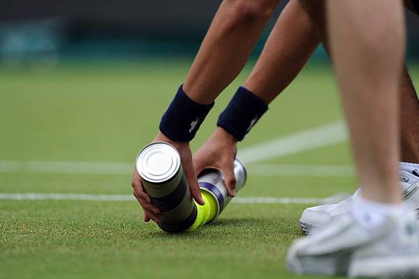 2012溫網 (The Championships,Wimbledon 2012)