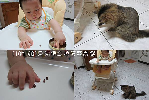 10M-1.jpg 10M-1.jpg