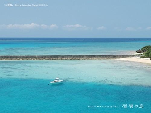 371847836.jpg 371847836.jpg