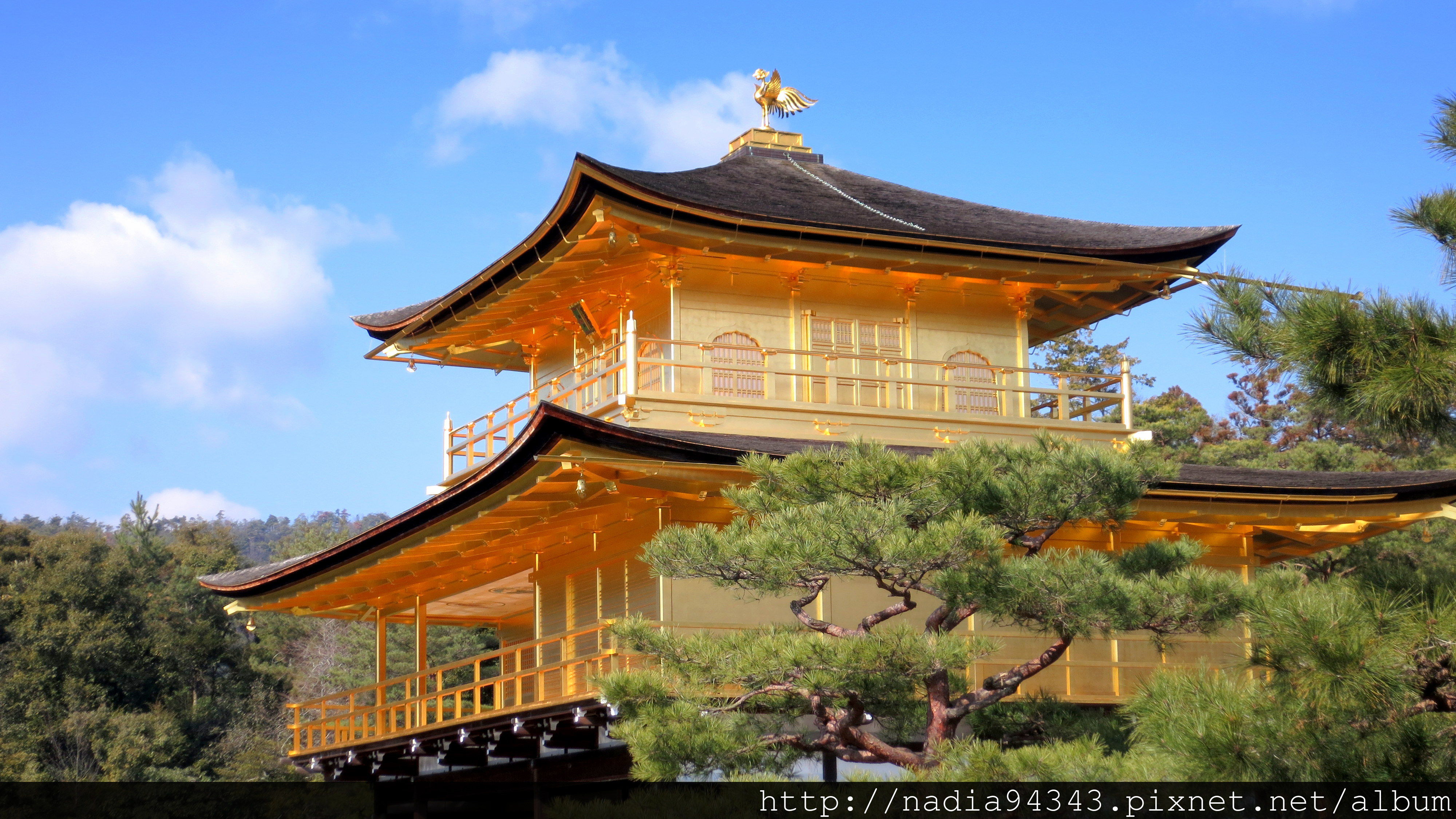 Kyoto2013_0210_093256 Kyoto2013_0210_093256