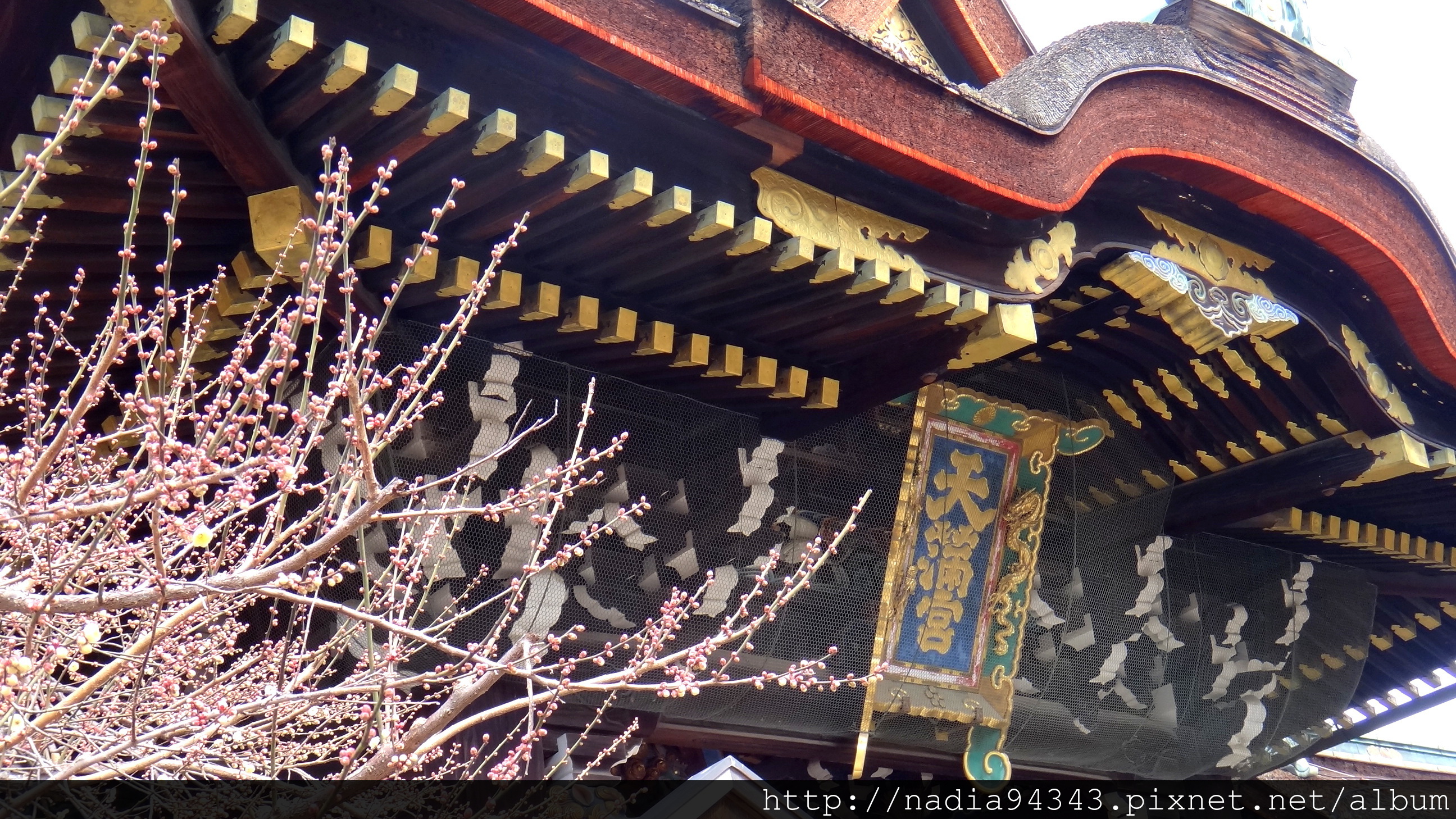 Kyoto2013_0210_105421 Kyoto2013_0210_105421