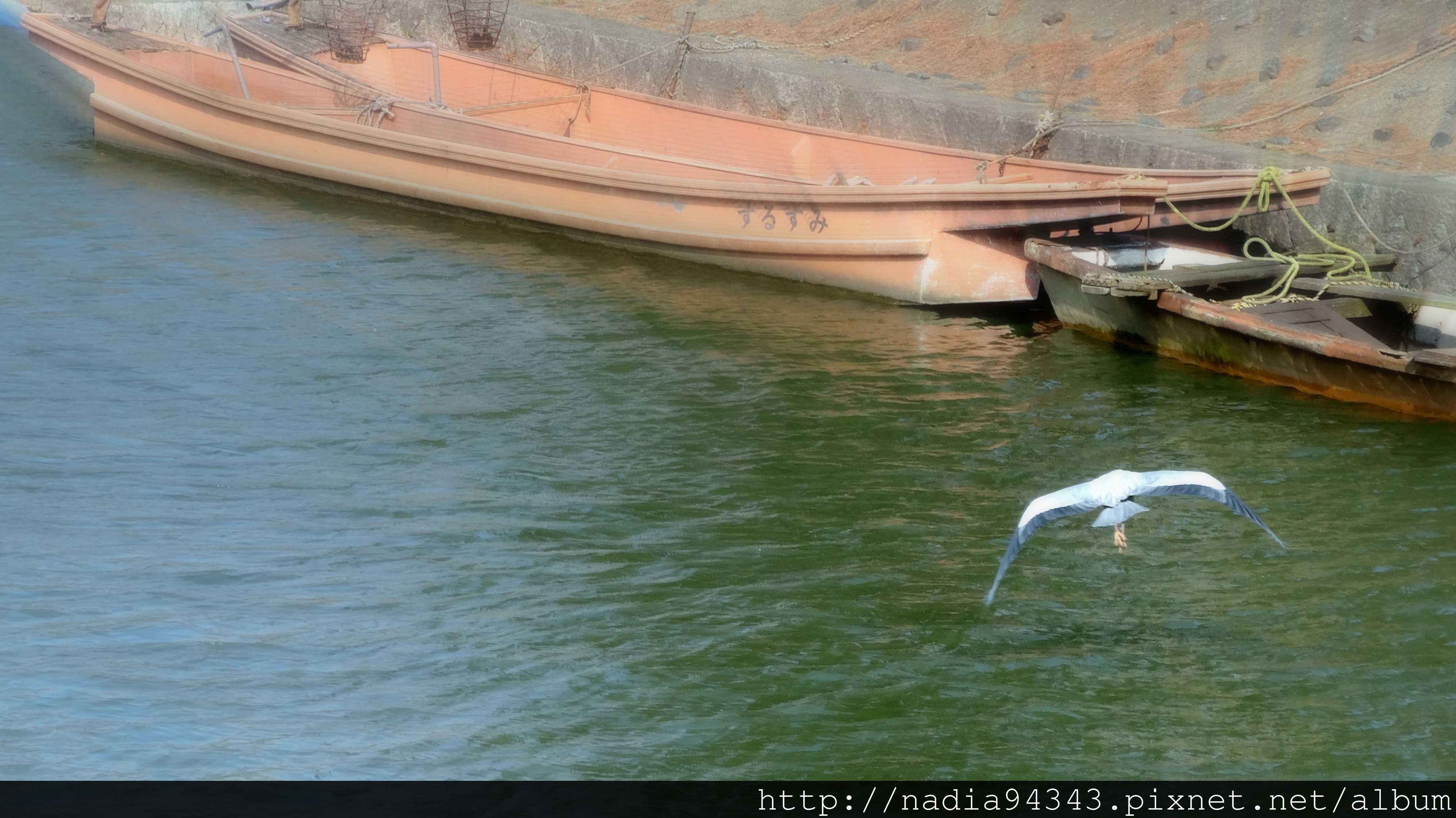 Kyoto2013_0211_115218 Kyoto2013_0211_115218