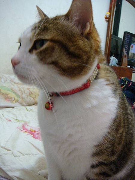 DSC09993 DSC09993