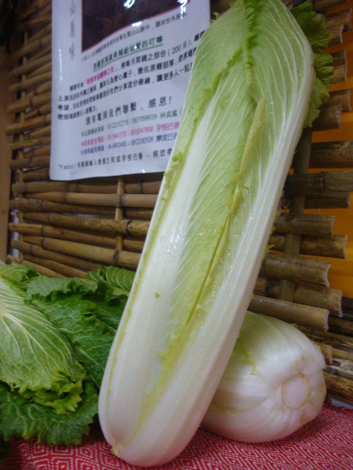 天津白菜.jpg 天津白菜.jpg