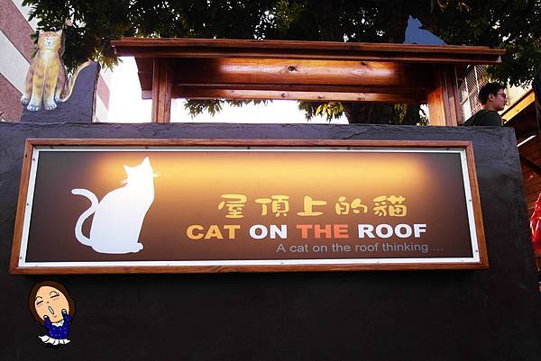 4屋頂上的貓 (1).JPG