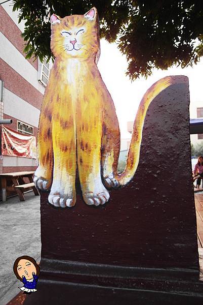 4屋頂上的貓 (2).JPG