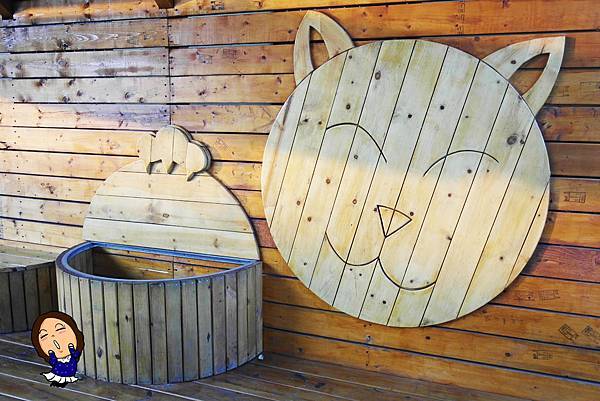 5屋頂上的貓 (1).JPG