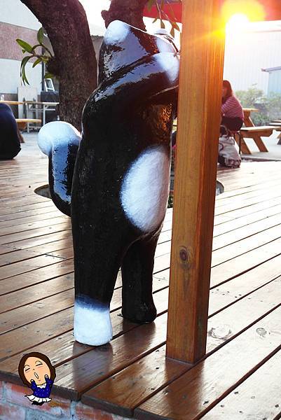 5屋頂上的貓 (2).JPG