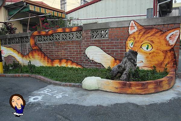 6屋頂上的貓 (1).JPG